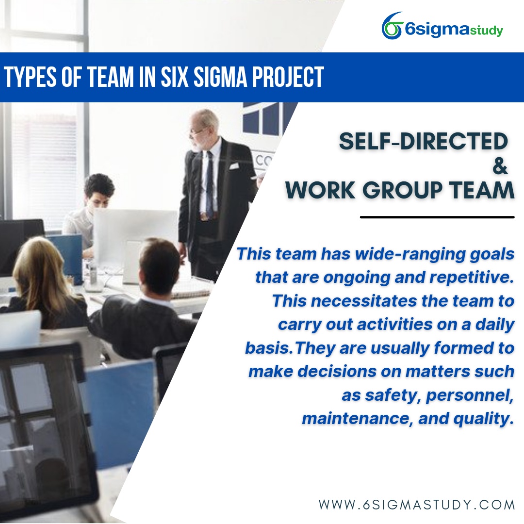 6sigmastudy - Types of Team in Six Sigma Project:...