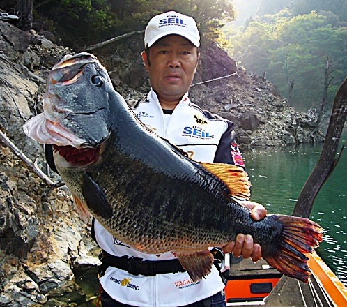 Kazuya Shimada's record 19.40 pound largemouth bass catch