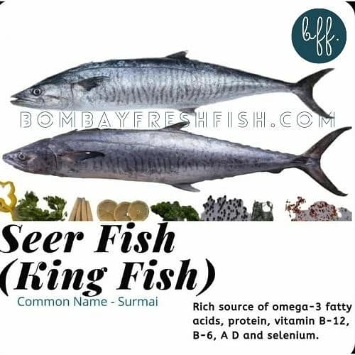 🐟 🦀 🦐 🦞 🦪 🦈 Ever wondered what... - Bombay FreshFish | Facebook