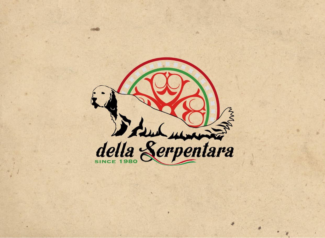 Allevamento “Del Monte Comero” - Selezione Amatoriale del Setter ...