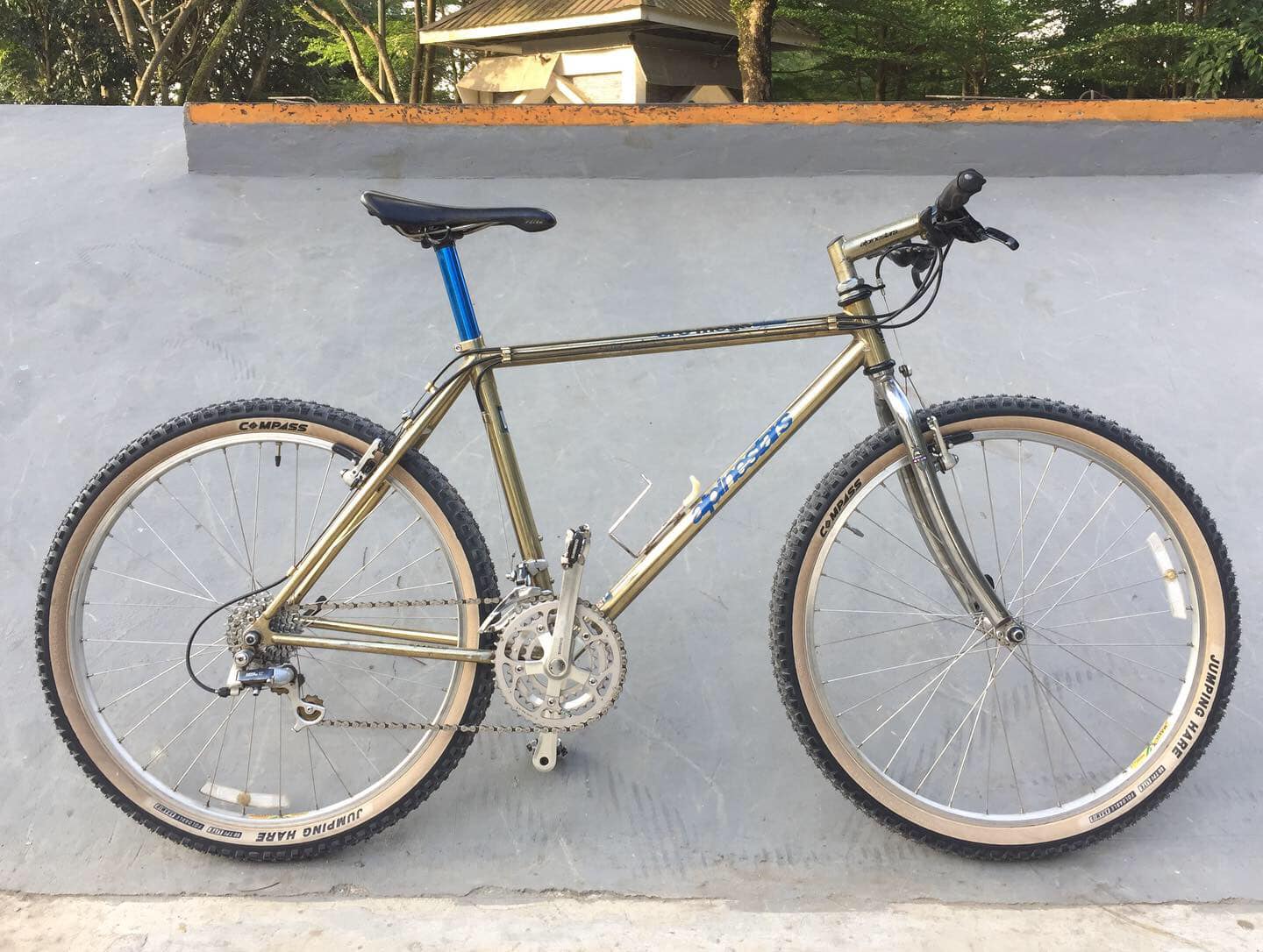 Hi Guys, this is my recent restoration bike 1993 Alpinestars
