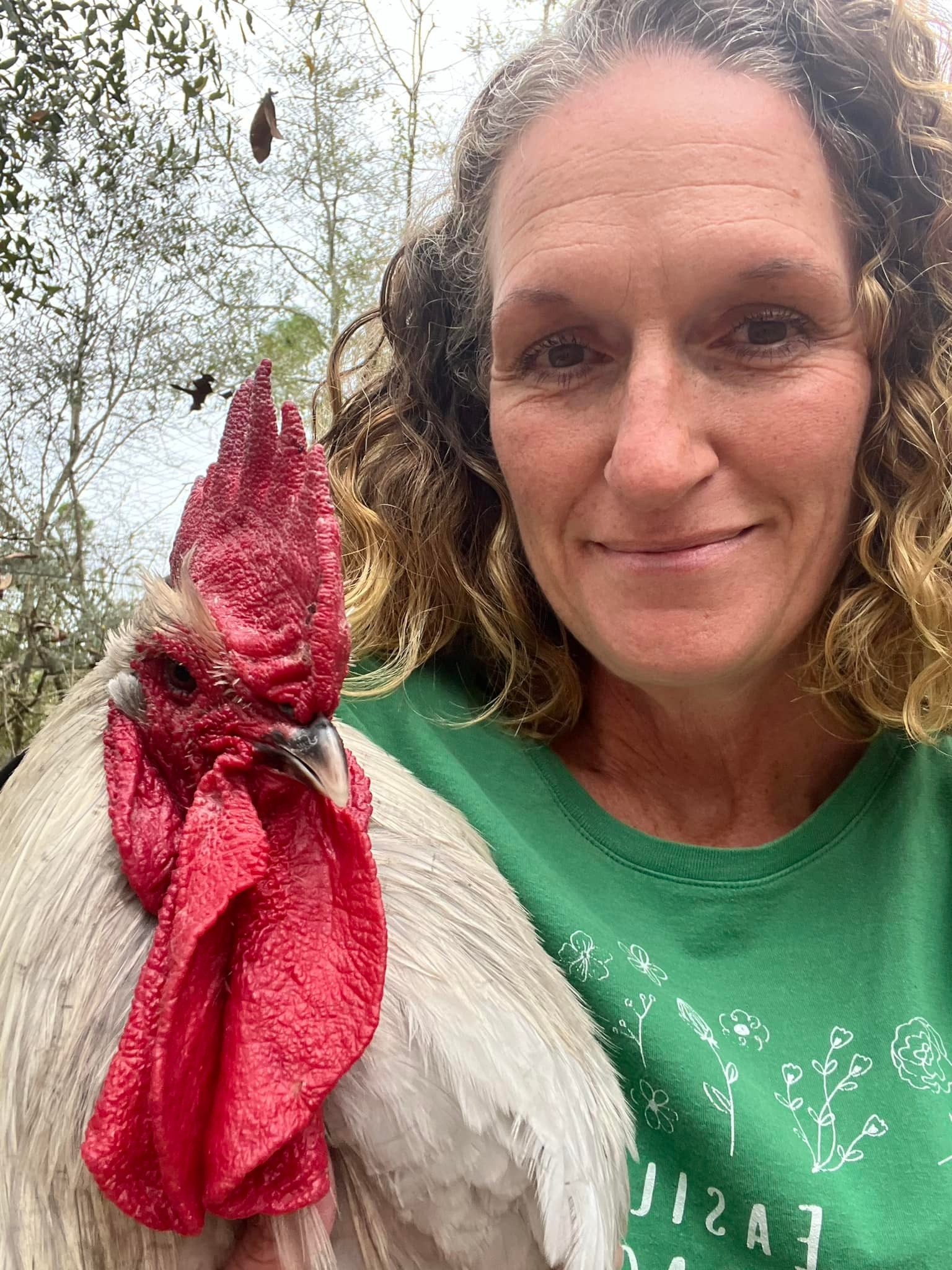 This was a... - Happy Hens & Friends Farm of Florida, LLC