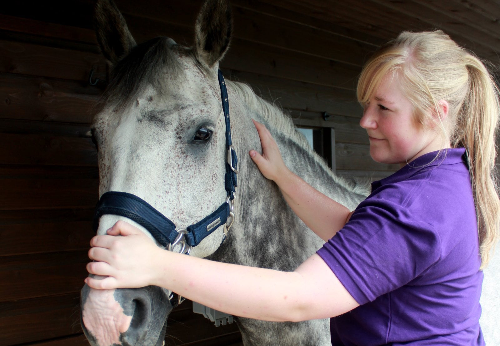 During the COVID 19 outbreak, NAVP members are continuing to support ...