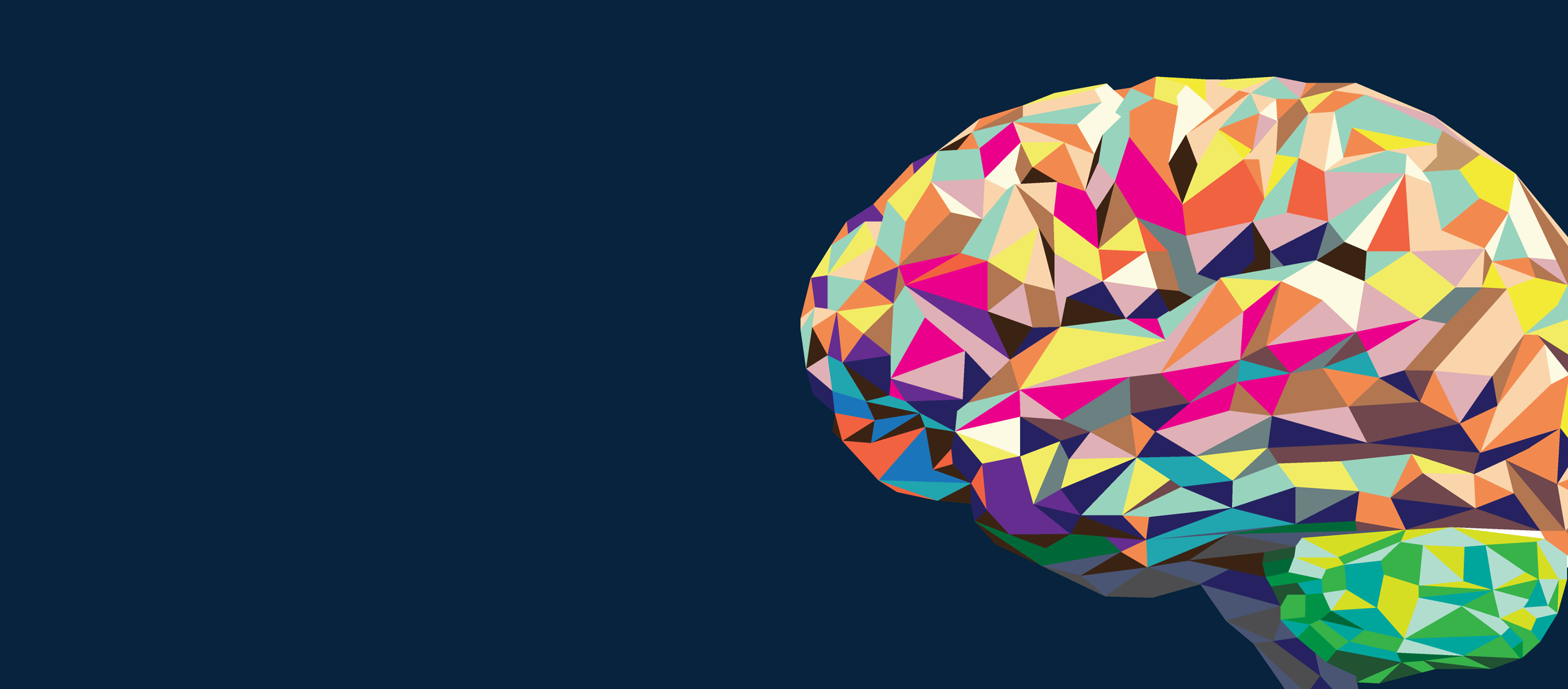 Neuro-Insight
