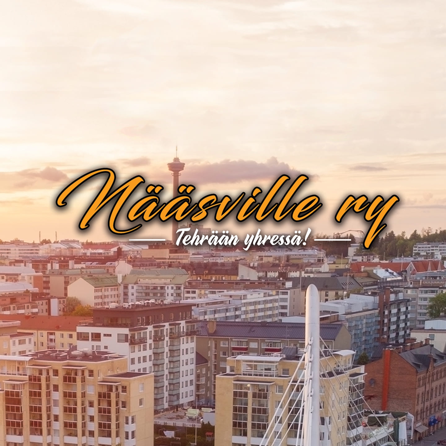 tammelan-toteutimme-asiakastyytyv-isyyskyselyn-kyselimme-miss