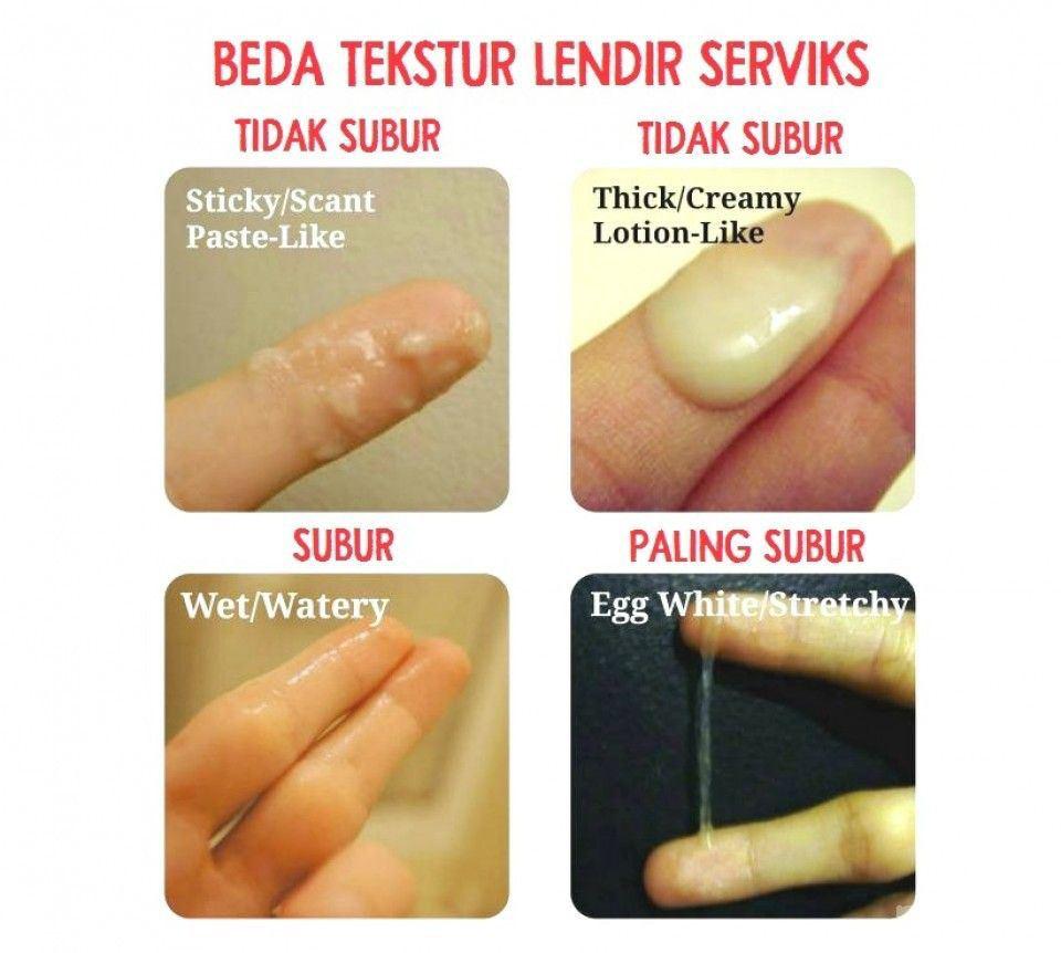 Pengedar Sah Jamu Zuriat Yusof Zulaikha Petanda Subur Melalui Keputihan Ish Pening Pula Dengan Kalkulator Ovulasi Ni Period Pon Bukannya Tetap Sangat Macamana Nak Tahu Sama Ada Sekarang Ni Tengah Subur
