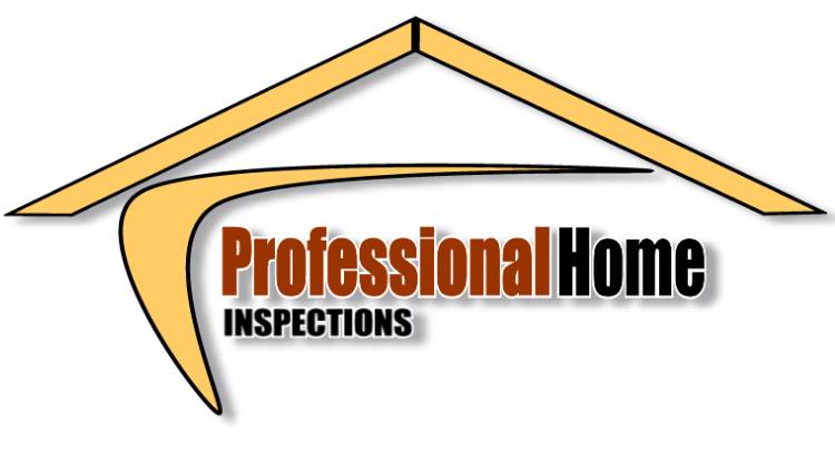Professional Home Inspection