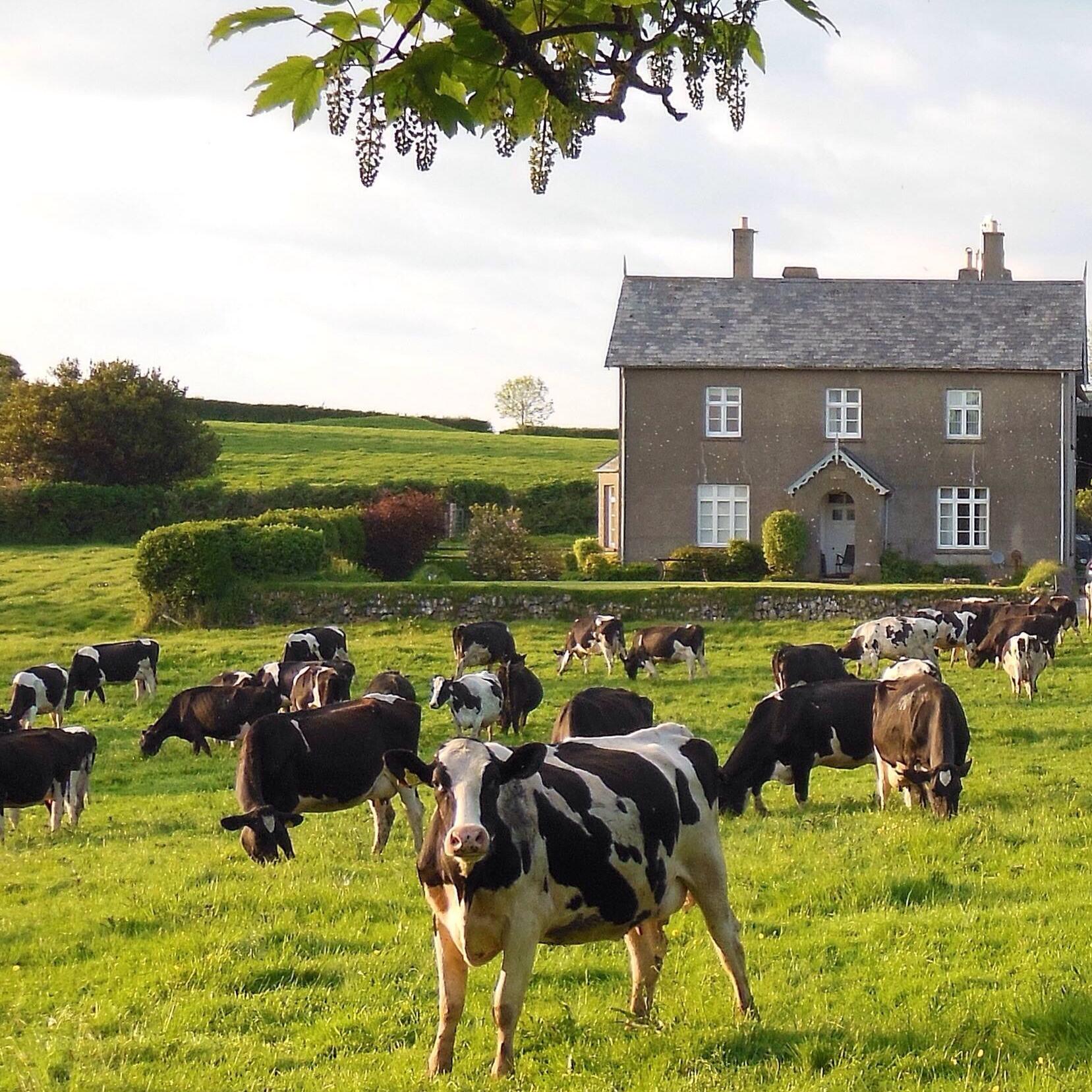 Friends of Great Court Farm... - Friends of Great Court Farm