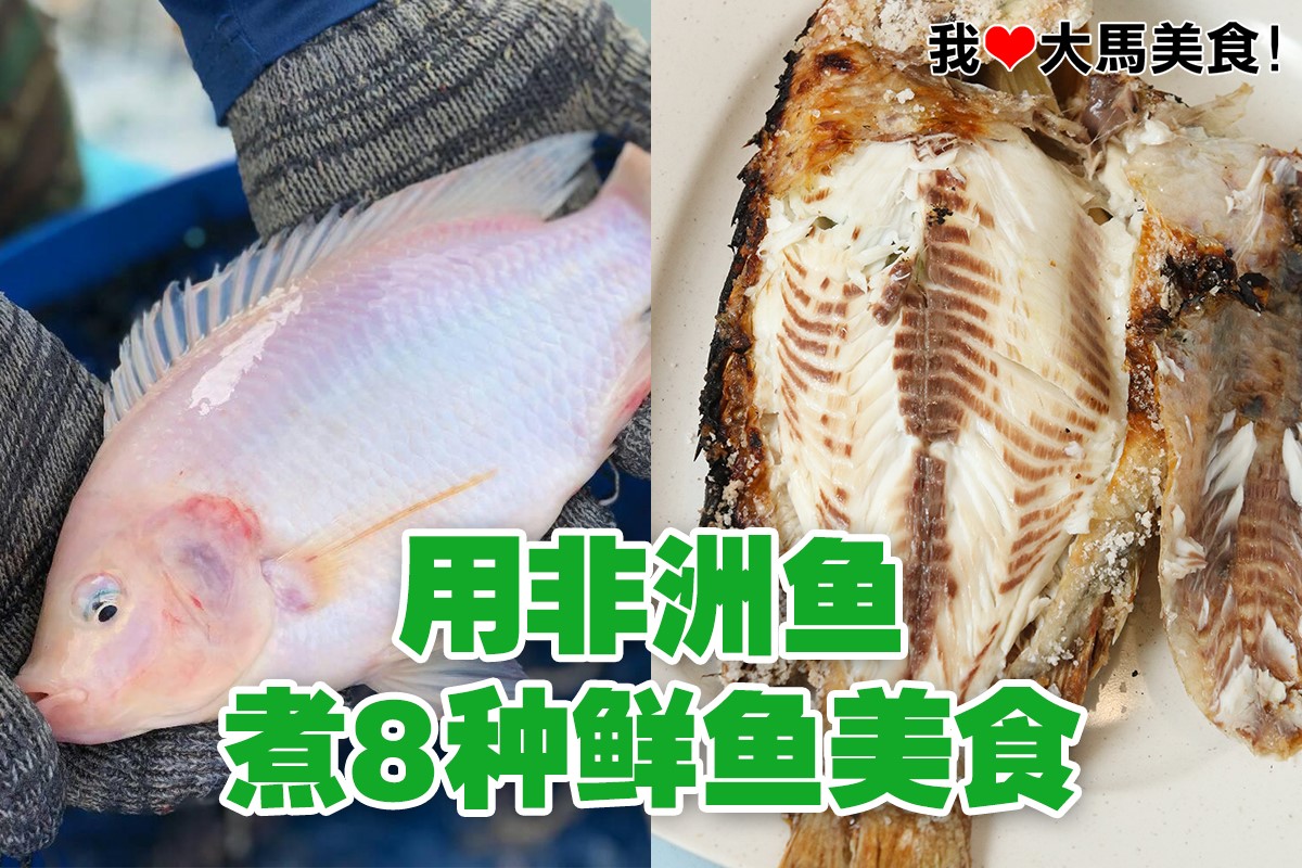 Raub - 红尾白须公 Baung Merah 特征：外观与白须公相似，但身型较为修长，且尾巴为红色。 体积：可达三、四公斤 特性：栖息于 ...