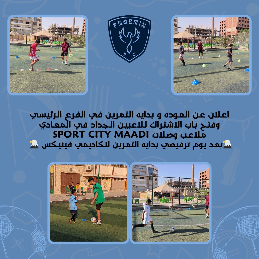 phoenix-fc-cairo