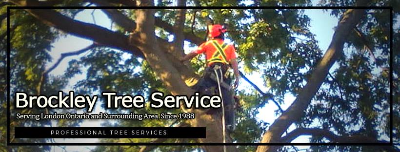 Brockley Tree Service