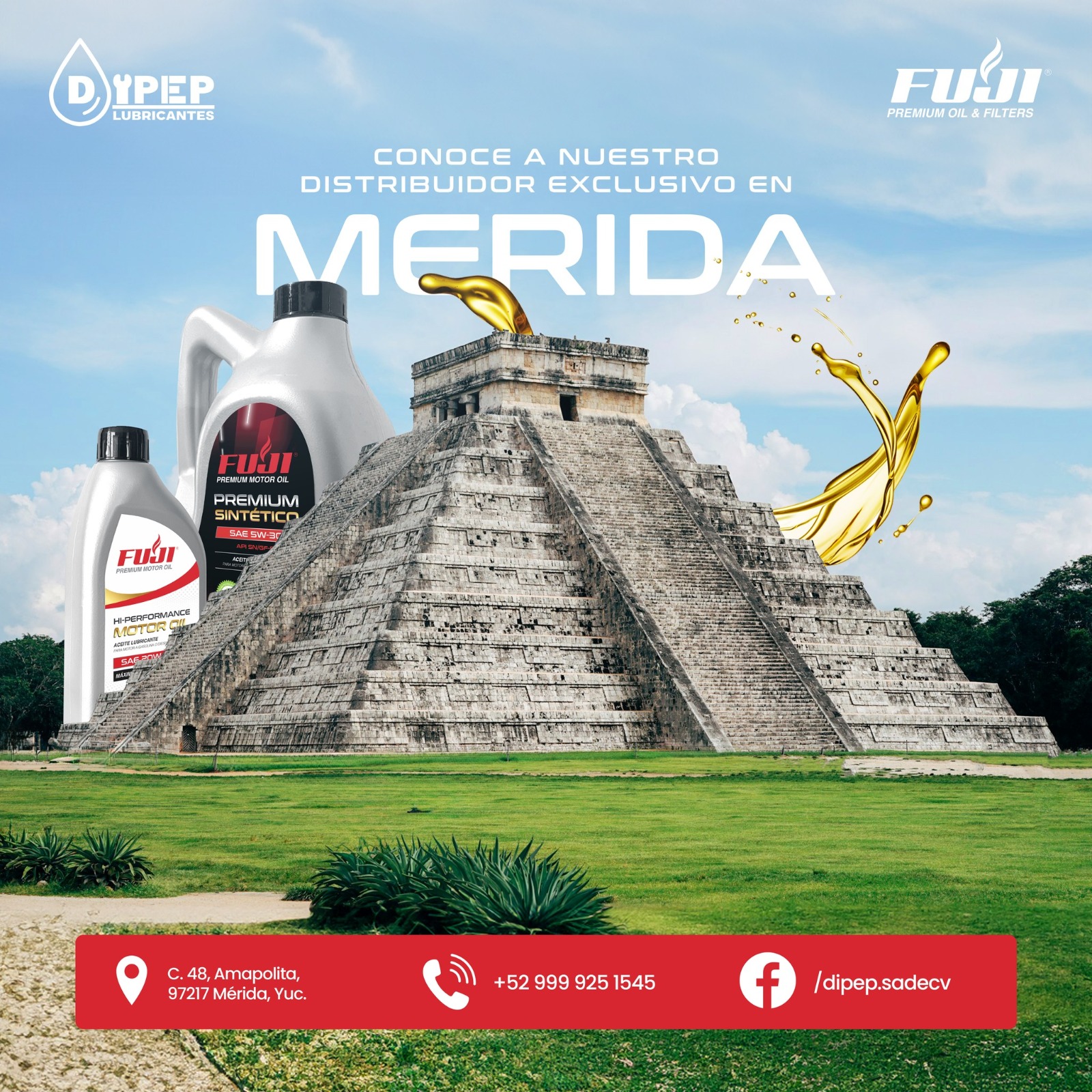 DIPEP | Mérida
