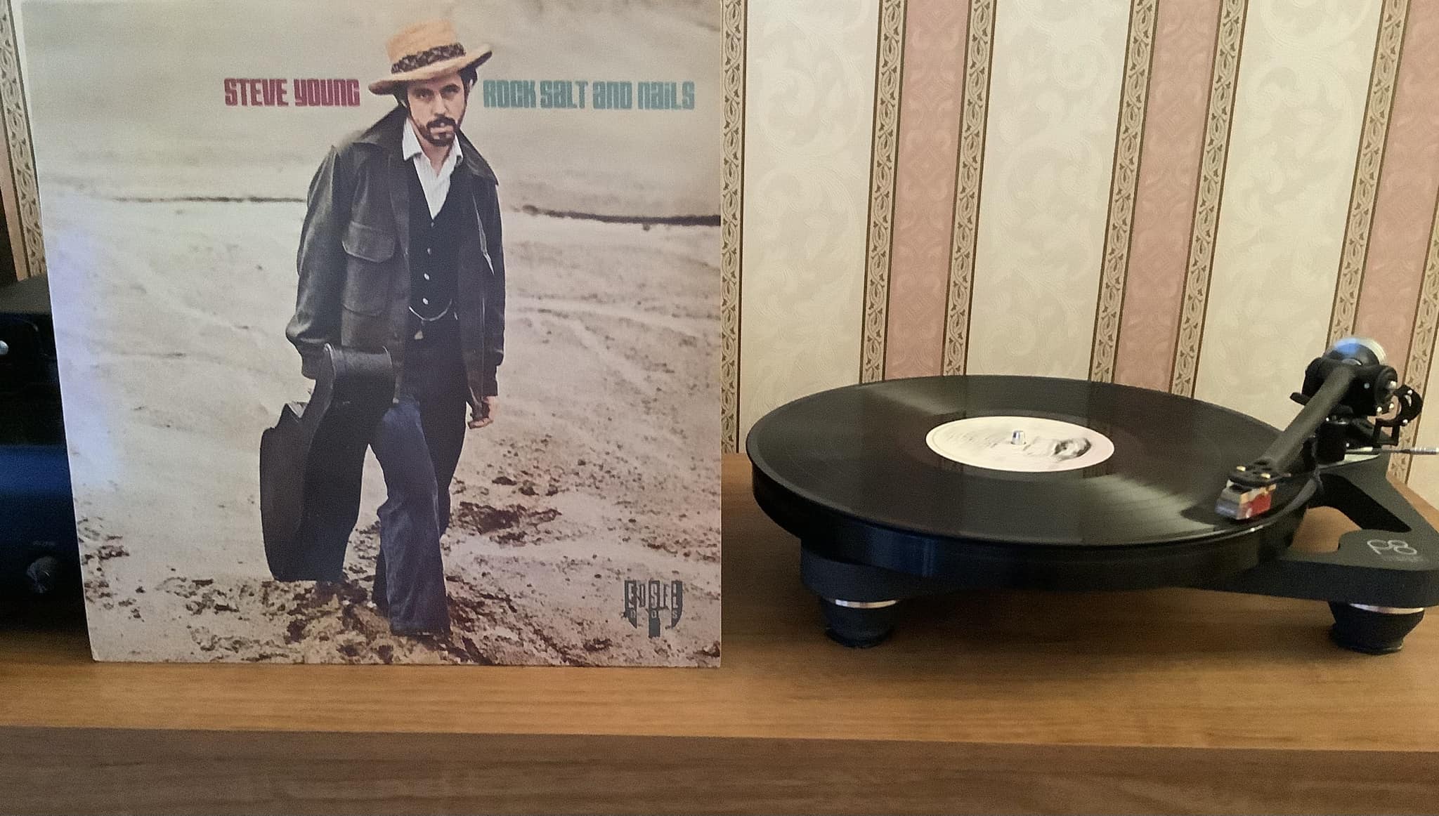 Steve Young's Album Rock Salt & Nails Review and Appreciation