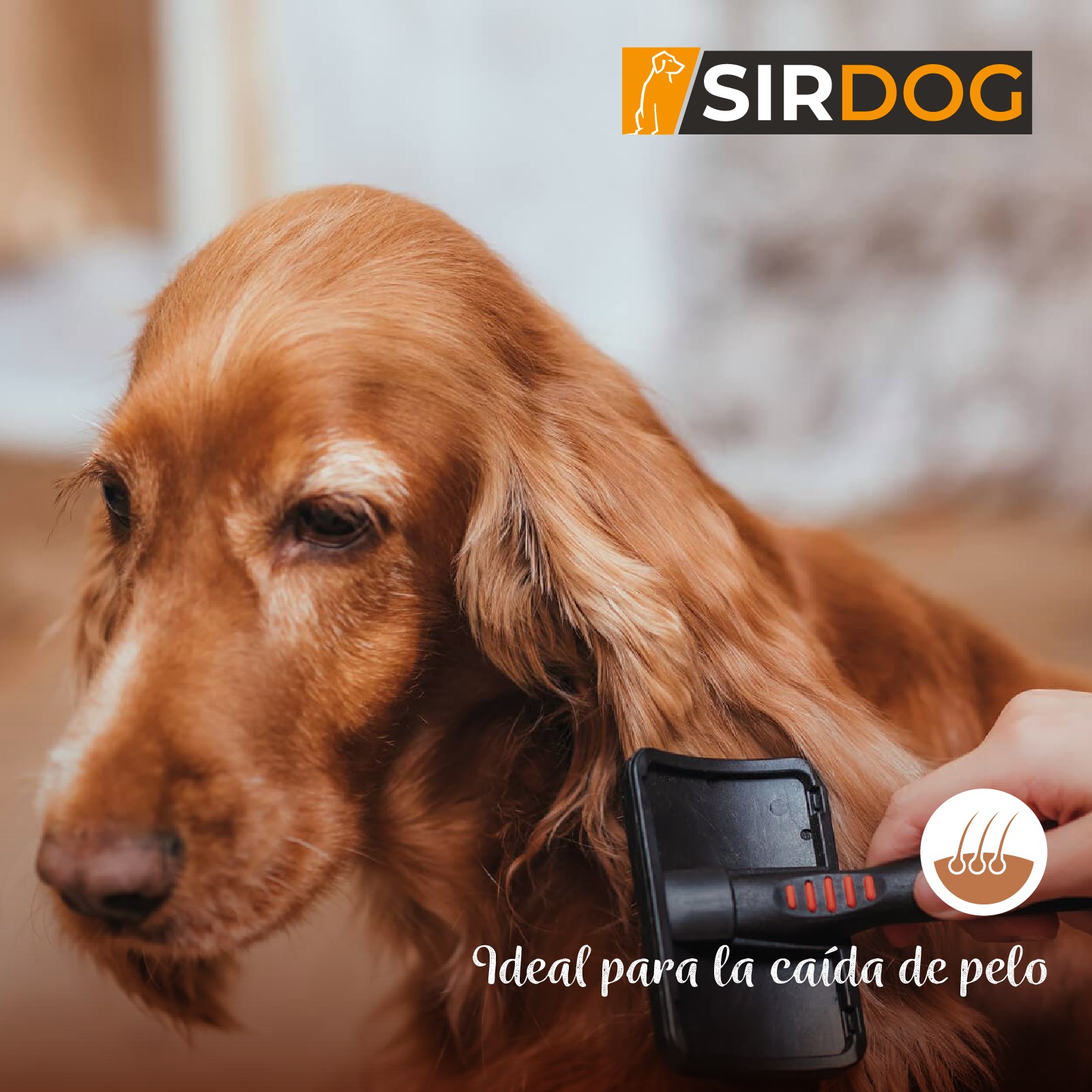SIRDOG contiene aminoácidos... - Sorgal Pet Food - ES