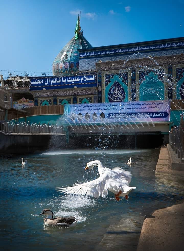 يُمّة ذِكريني || باسم الكربلائي ______ ______________________ #باسم # ...