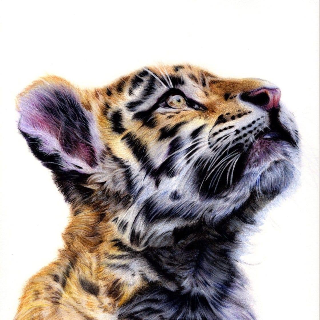 Fine Art By Rachel