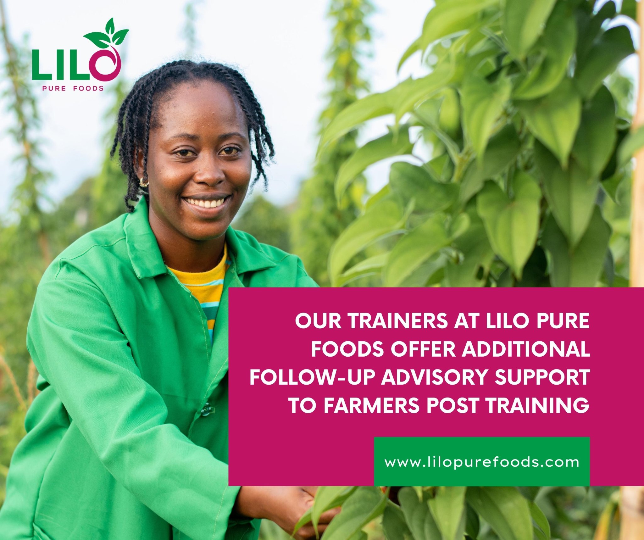 Lilo Pure Foods