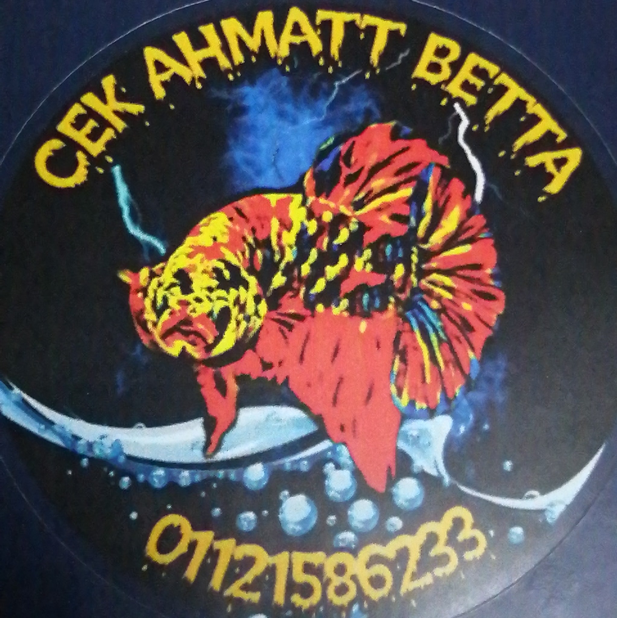 CEK MATT BETTA