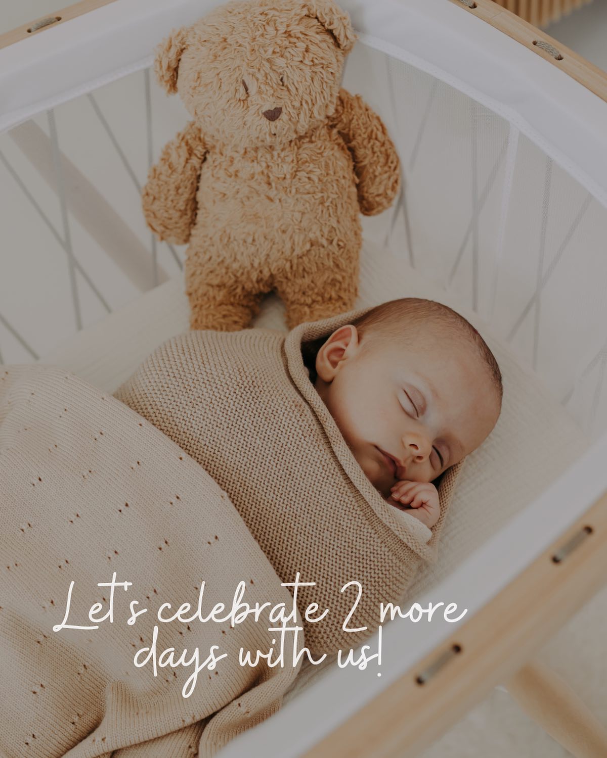 Hello Archie - Our week of celebrating 1 year Hello Archie... | Facebook