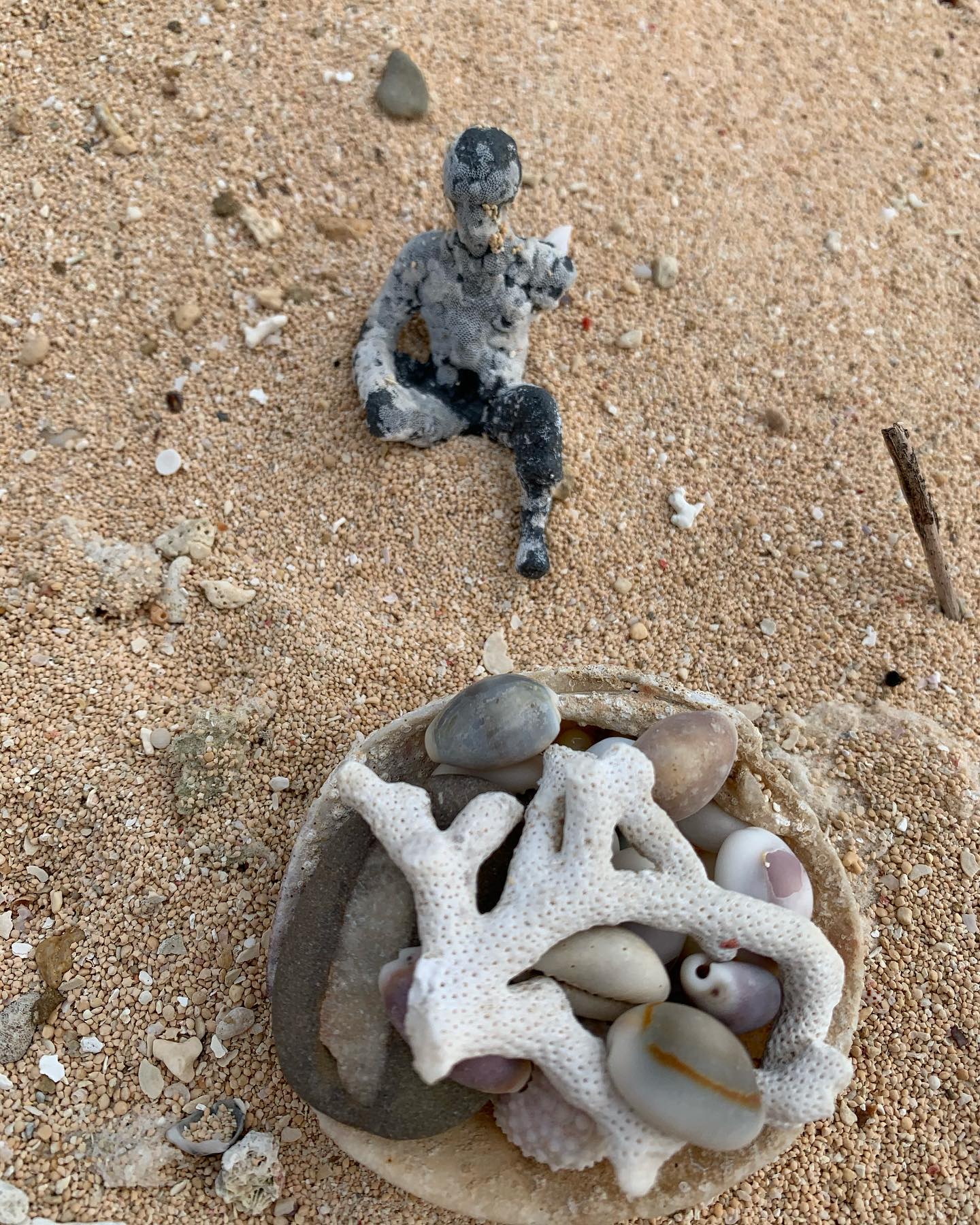 株式会社sham Arts 星砂海岸にて 星砂いっぱい 海岸散歩 夕暮れ 人形と タカラガイ 探し歩いて 今日の収穫 サンゴ礁 シュノーケリング 徒歩5分 西表島 西部 海岸でアート Facebook