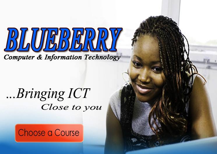 Blueberry Computer & Information Technology | Abuja