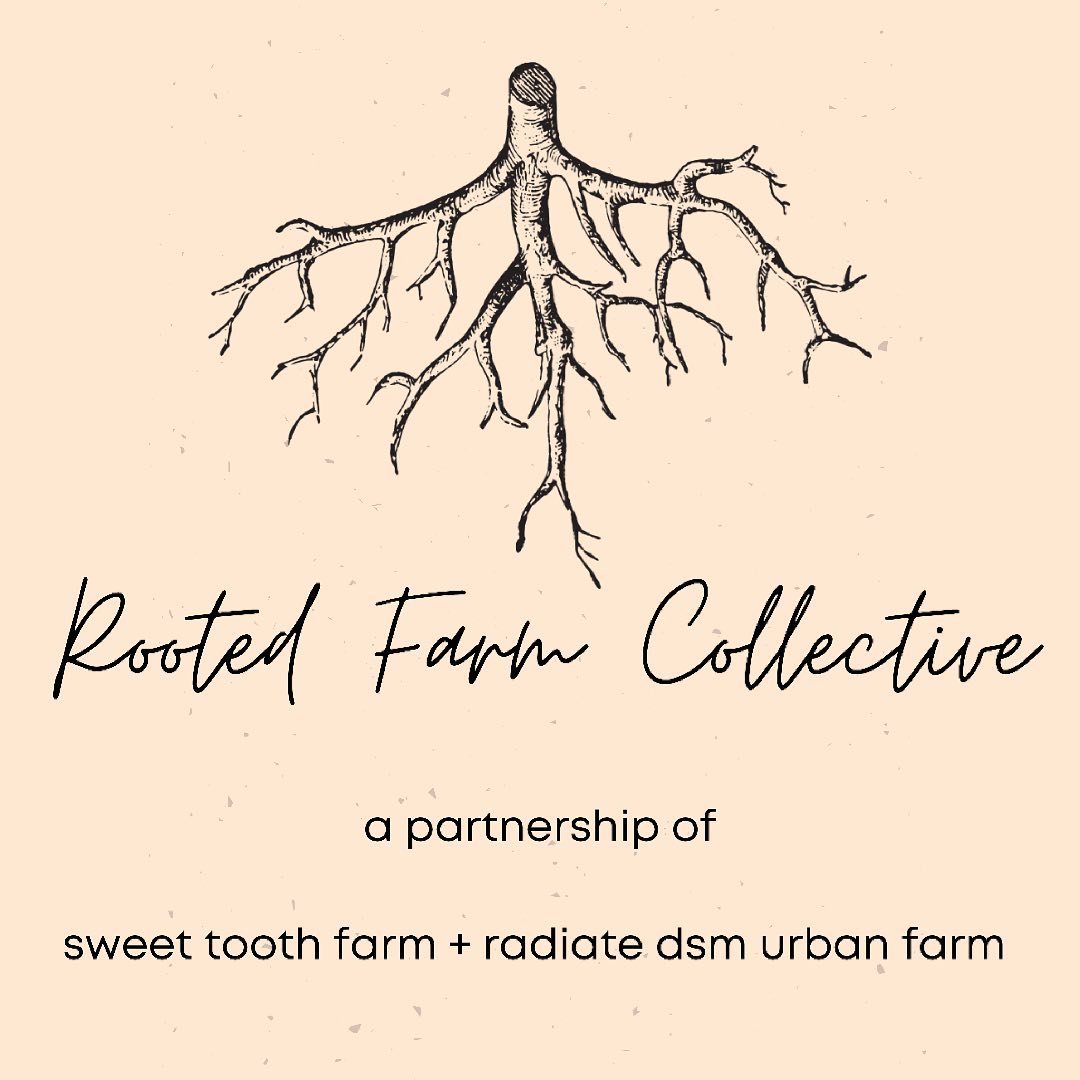 From destruction, comes rebirth. I’m... - Sweet Tooth Farm