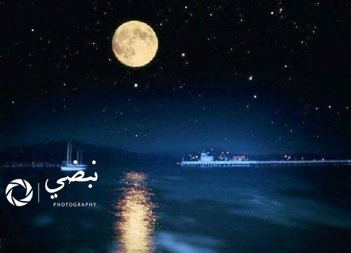 نبضي