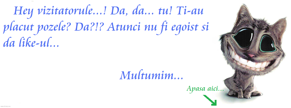 Just Impossible ჯ
