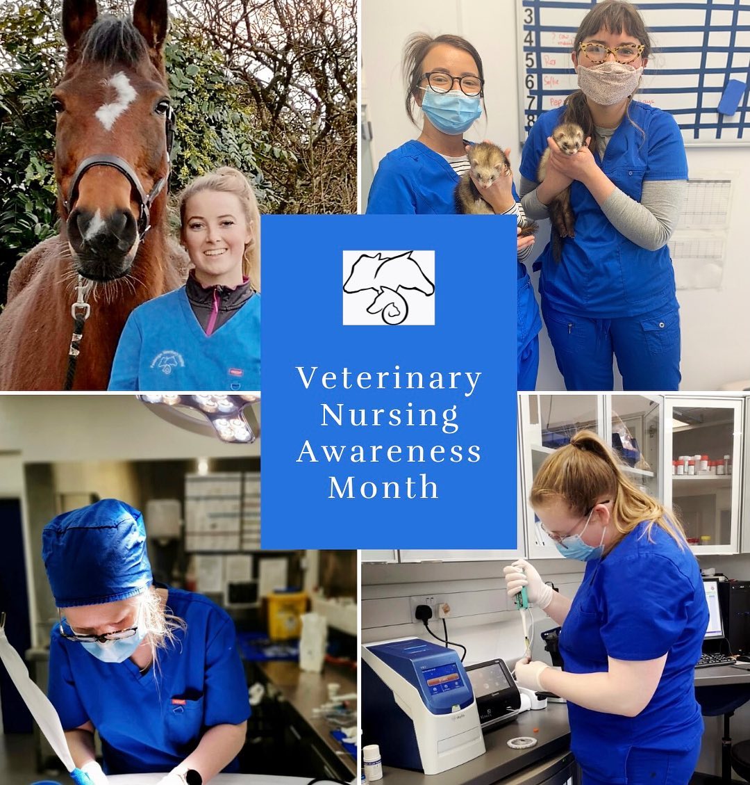 As May is Veterinary... - Faxbridge Veterinary Hospital