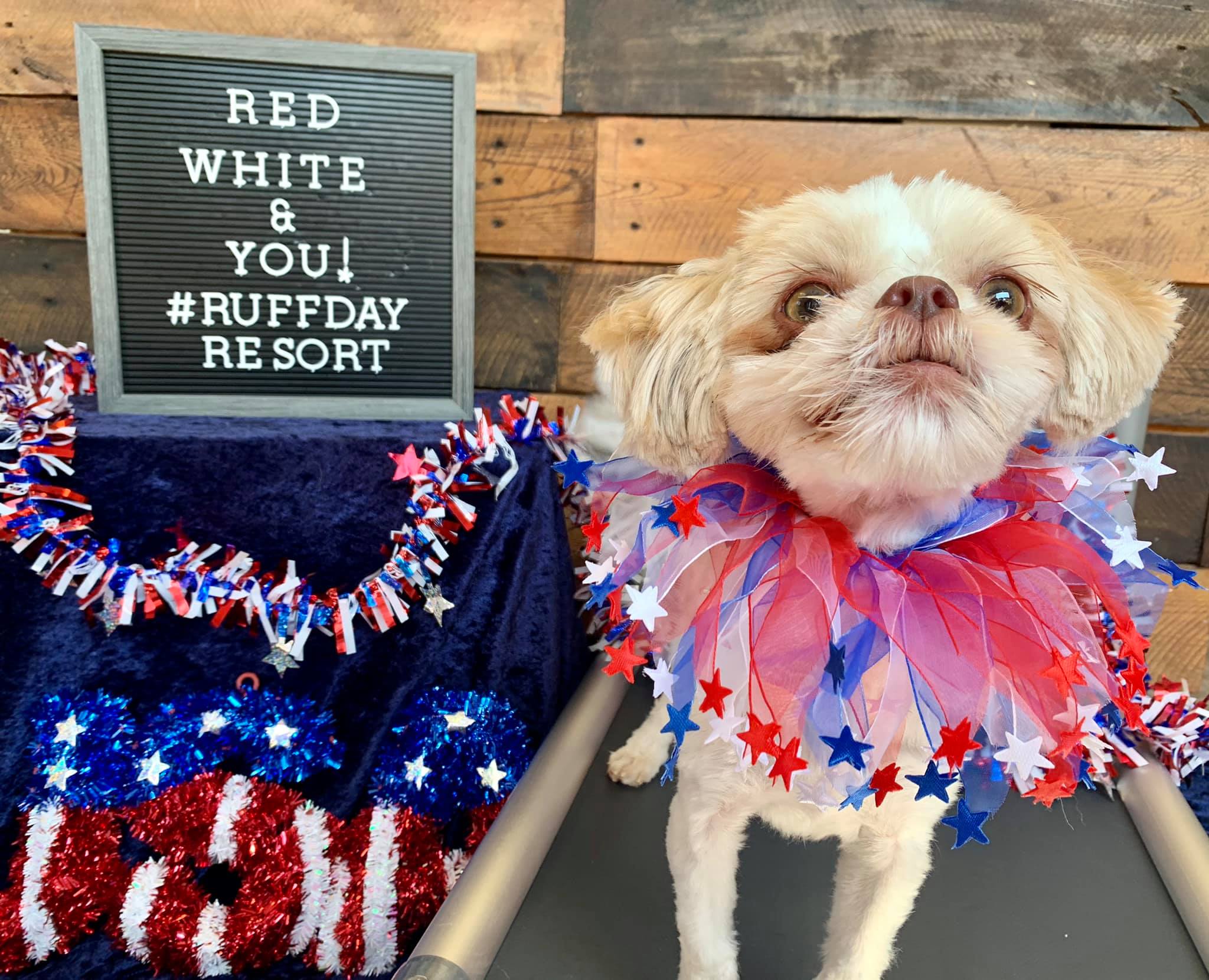 Ruff Day Resort - Happy 4th of July from all our Boarding...