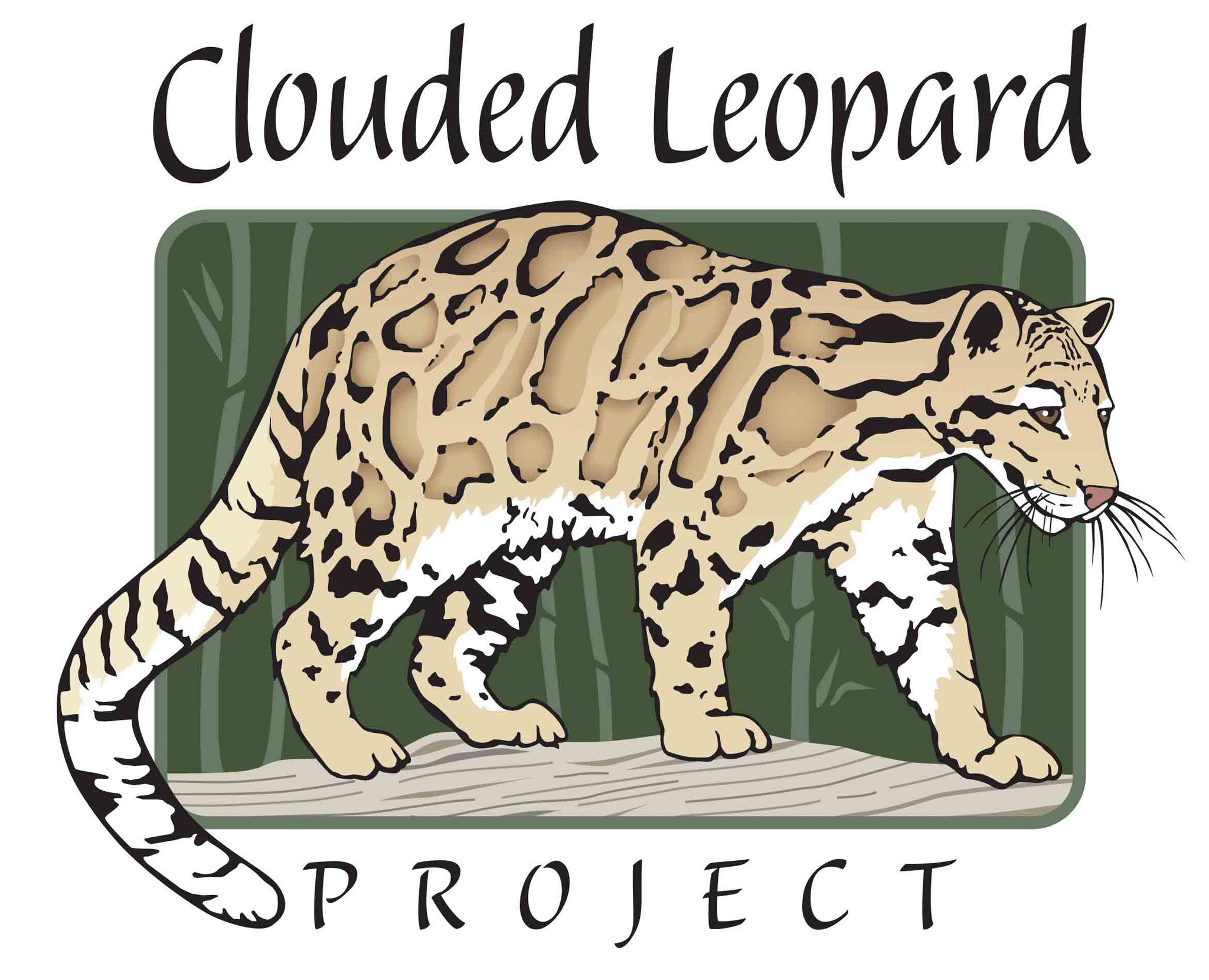 The Clouded Leopard Project... - The Clouded Leopard Project