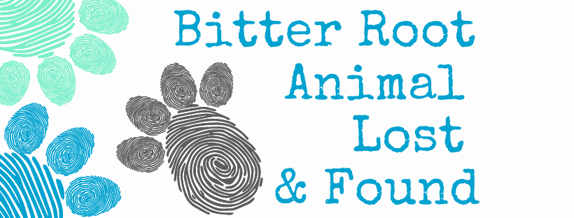 Bitter Root Animal Lost & Found | These two were found near Angler's ...