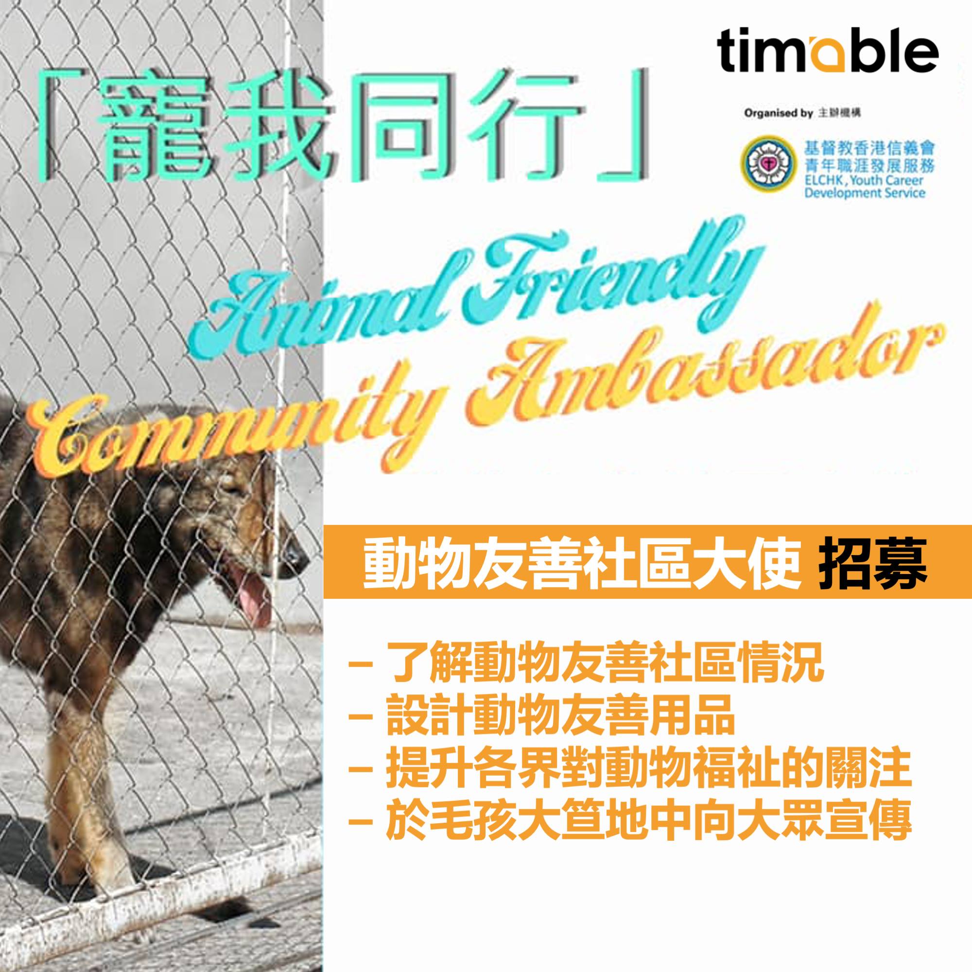 Timable - 【#timable汪星人】有時帶汪星人出街都真係會遇到好多唔方便嘅地方！... | Facebook