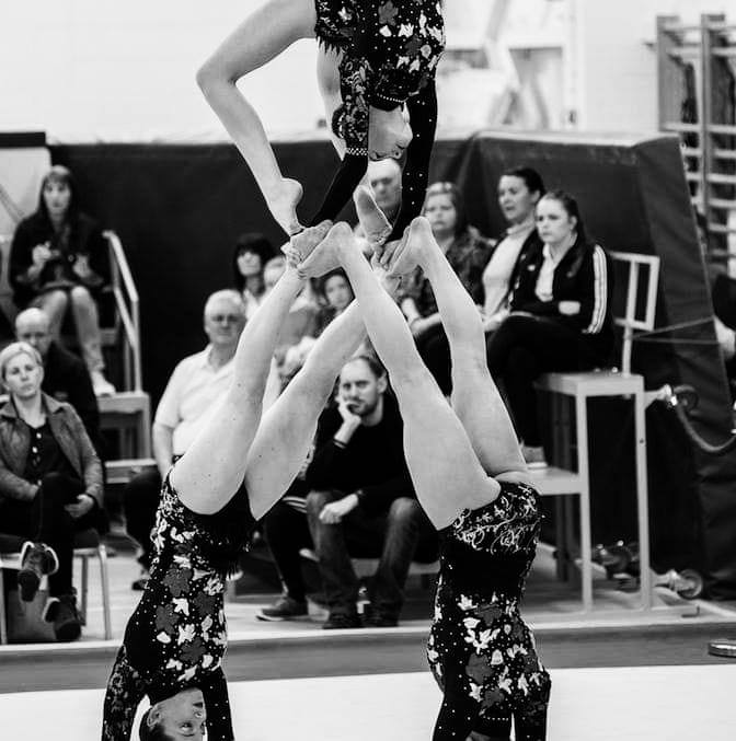 Livestream link for Tigers... - Honiton Gymnastics Club | Facebook