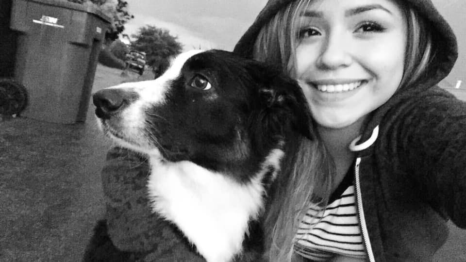 Kayla’s Dog Walking Service’s | Rio Rancho NM