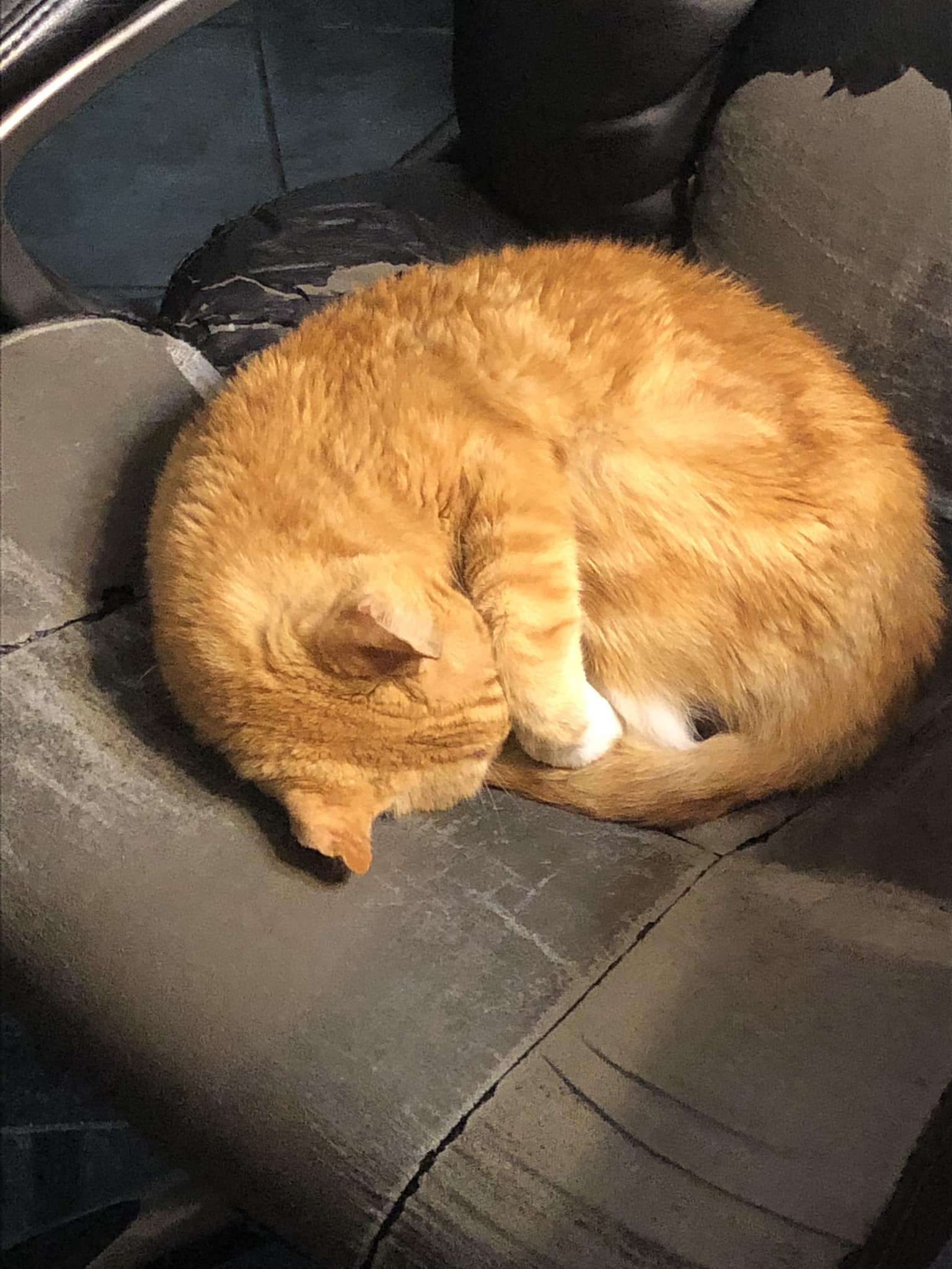 Evil-Lyn's unique sleeping habit