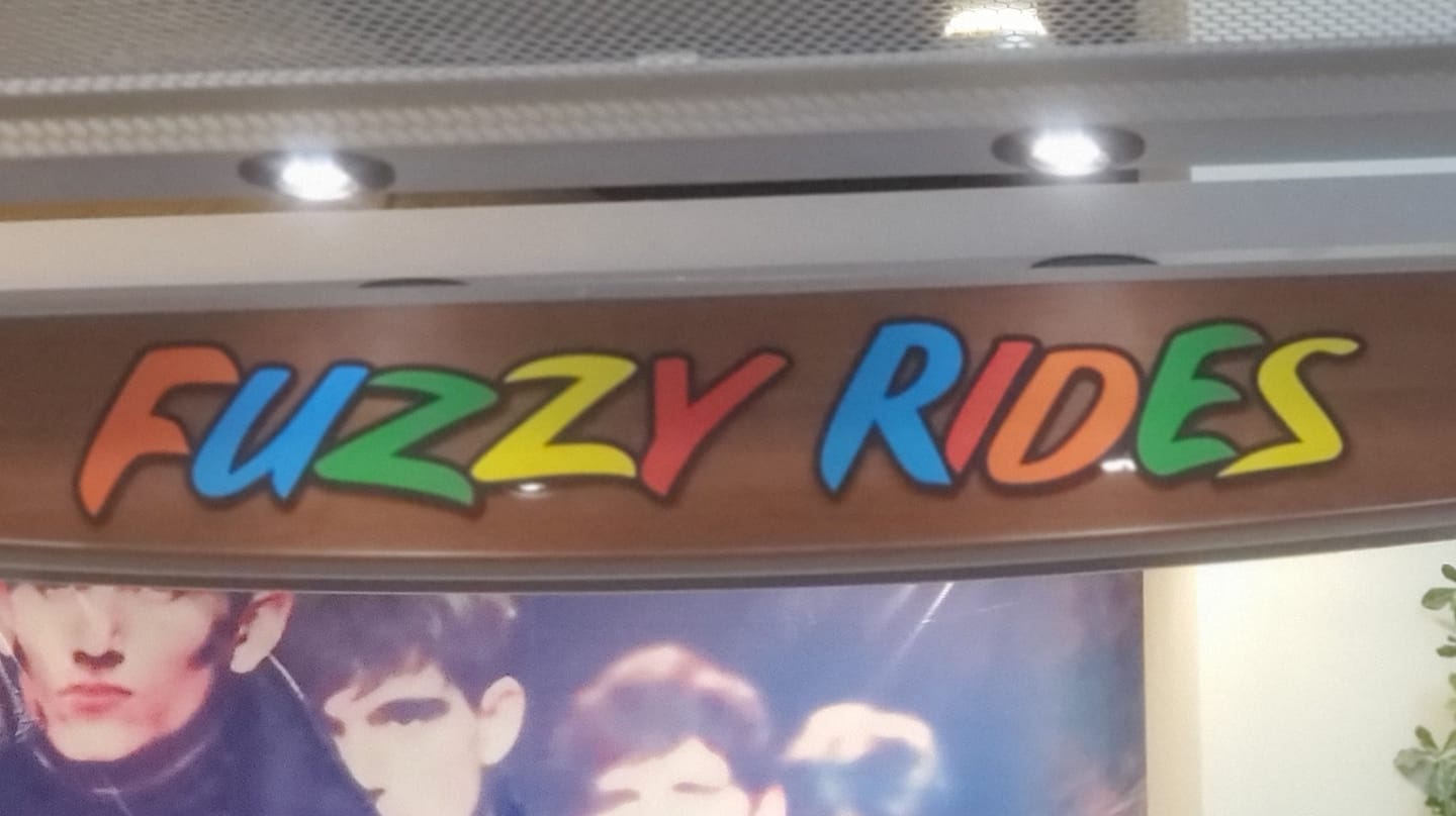Fuzzy Rides Syracuse | Syracuse NY