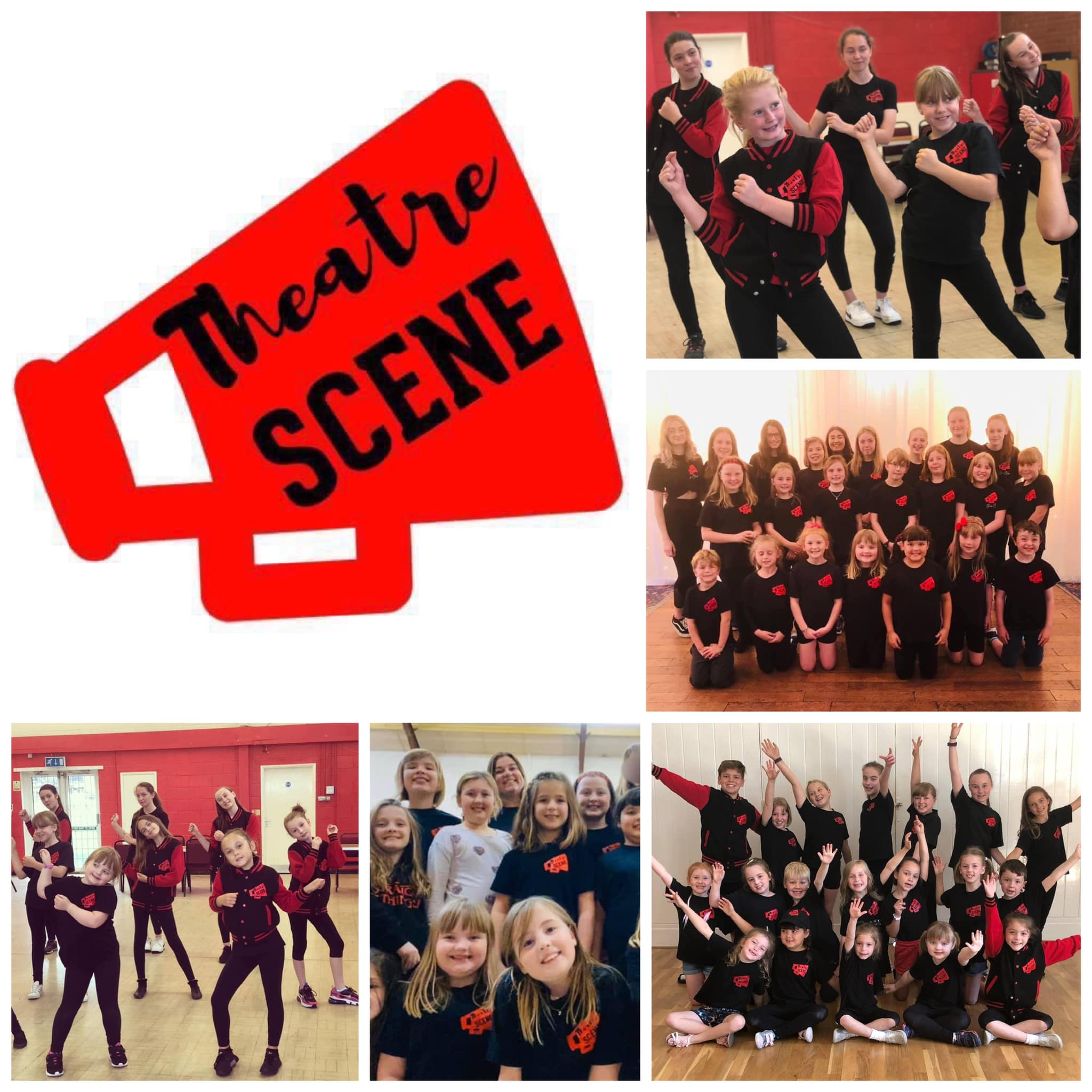 Theatre Scene - We are really excited to announce that we...
