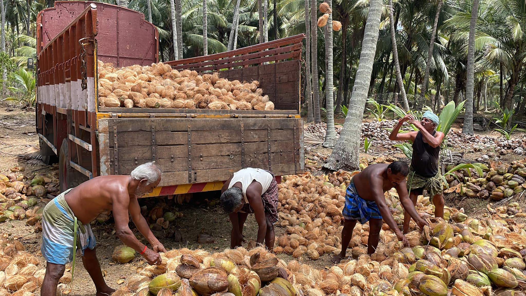 The Coconut Company