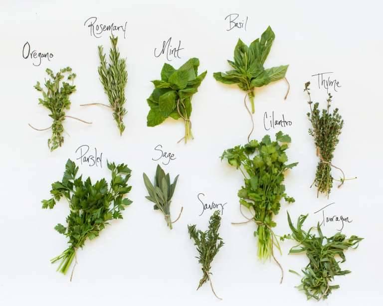 Local herbs . Health professionals. | Facebook