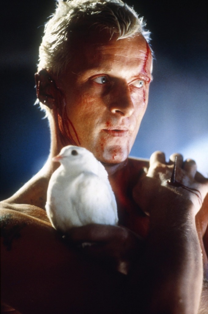 Last surviving Rutger Hauer hand from the production of Blade Runner!