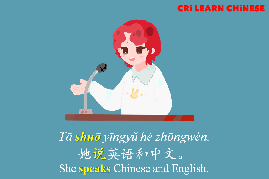 Learn Chinese - 【造句 Make sentence】 [shuō] 说 speak; talk; say