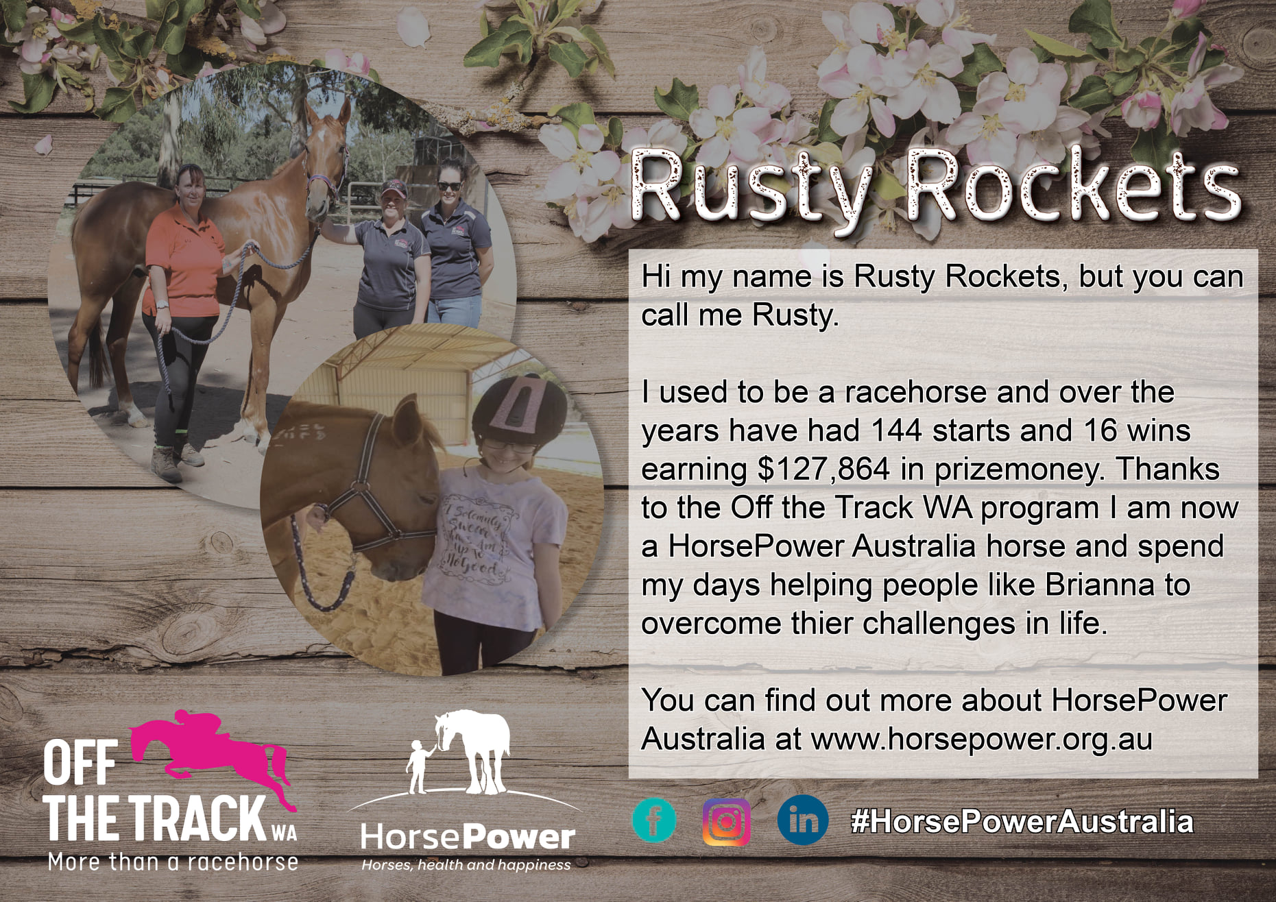 What makes a good HorsePower horse?... - HorsePower Australia | Facebook