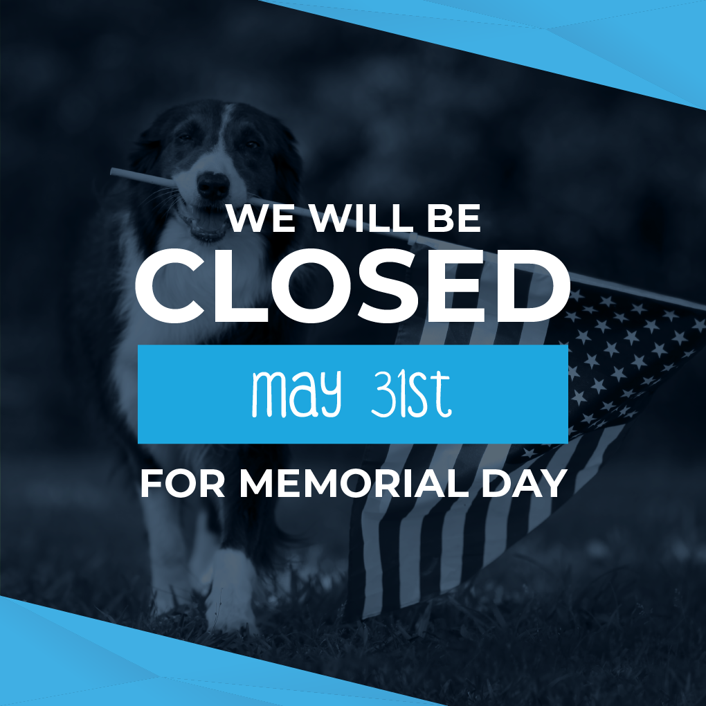 McGee Street Animal Hospital Home Facebook