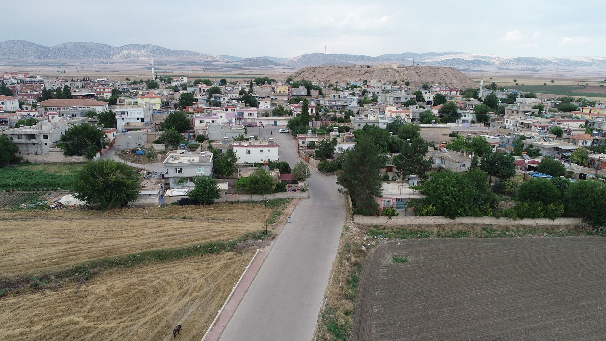 Gaziantep Araban