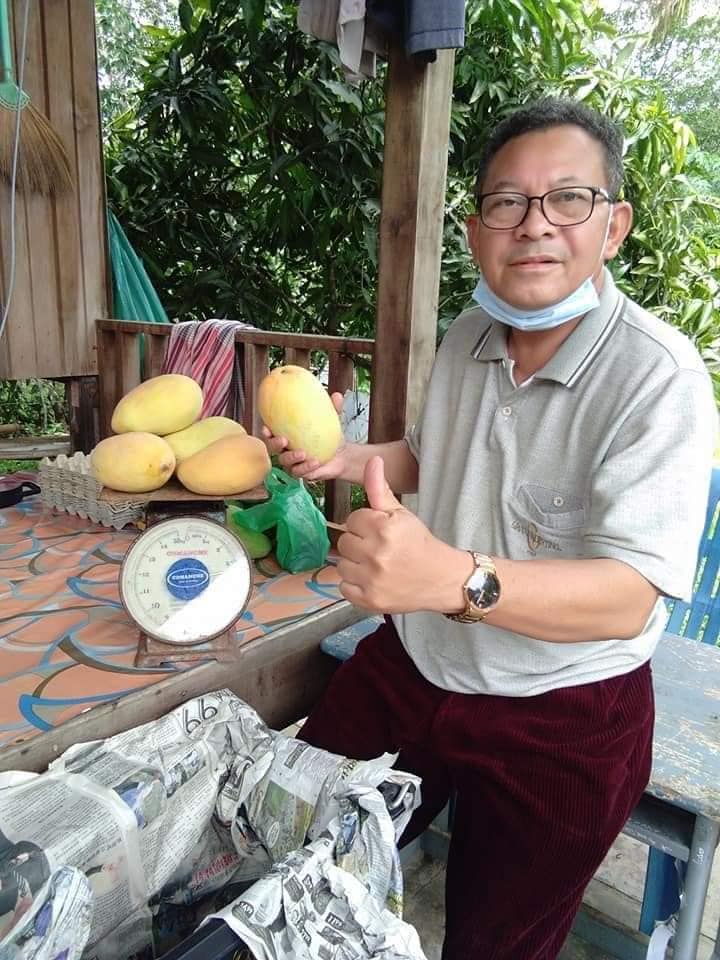 Musa raja lelong