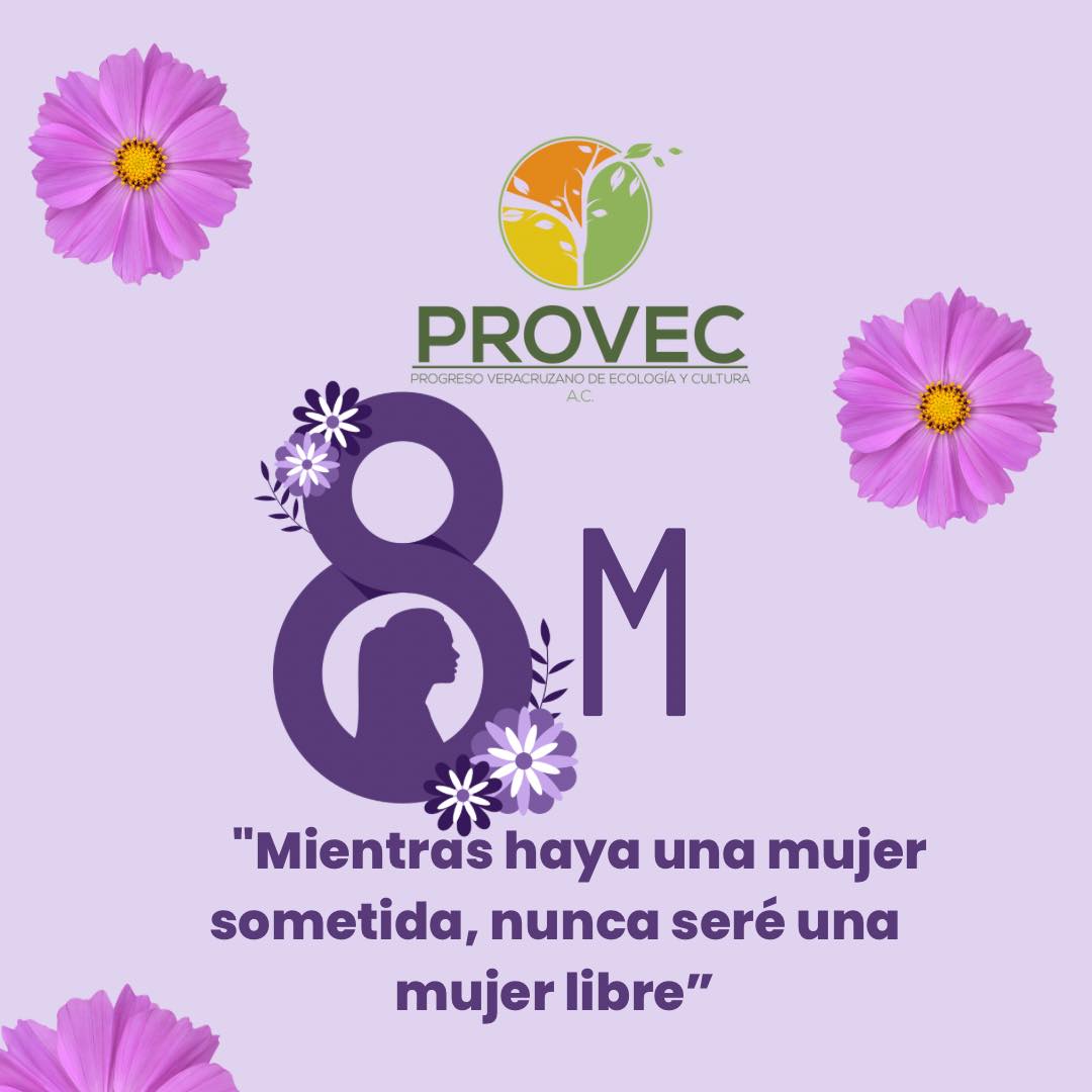 Provec - El feminismo no es excluyente. Esta es una lucha de todos y ...