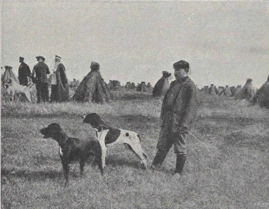 English Setters & Pointers in Hunting & Trials - R. M. Ehlers with his ...