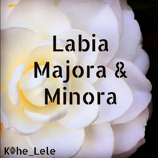Kohe Lele - 😍Happy Wednesday my loves😍 - Today, let’s take... | Facebook