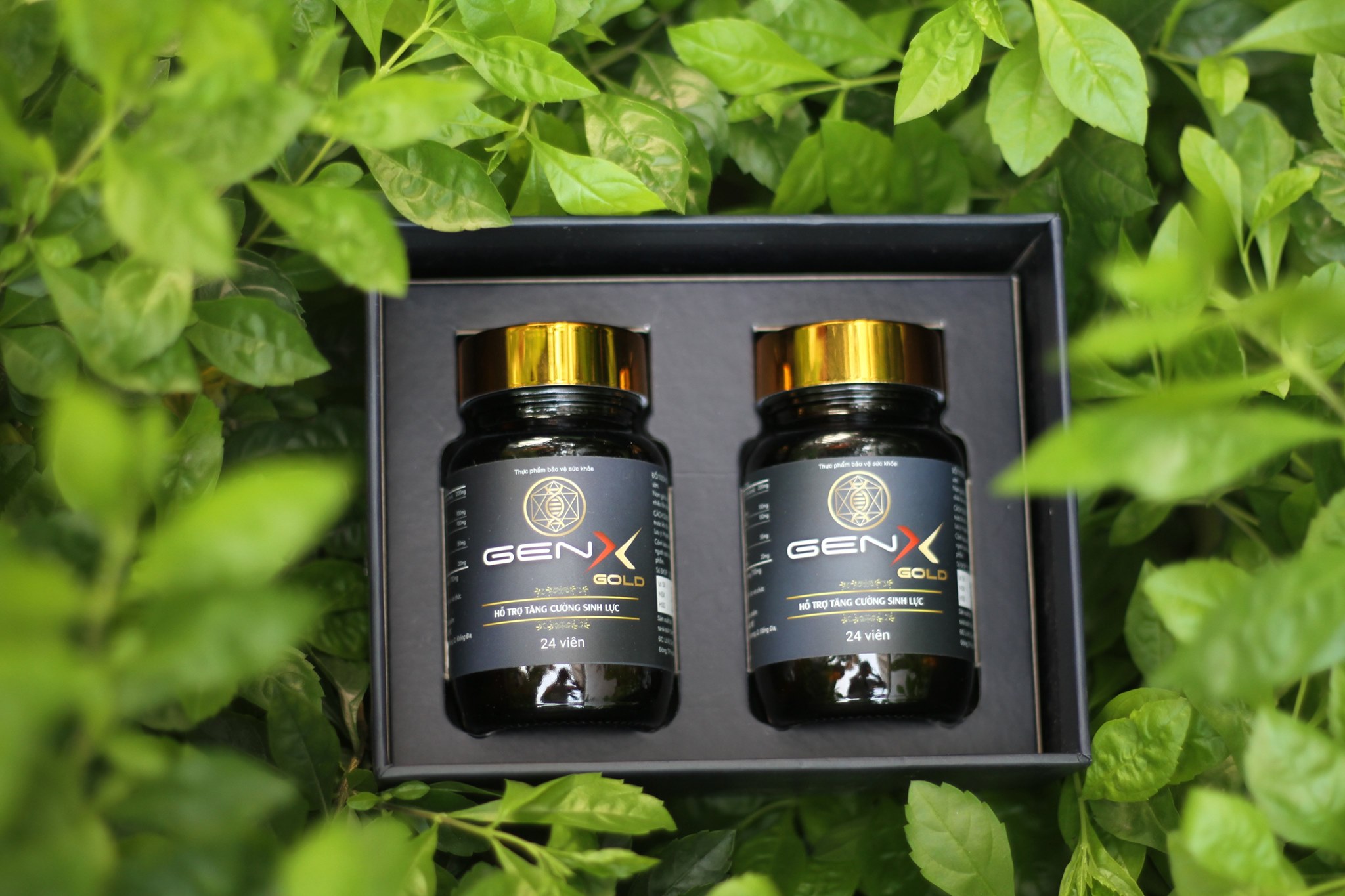 GenX - Thảo Mộc Của Đất Trời